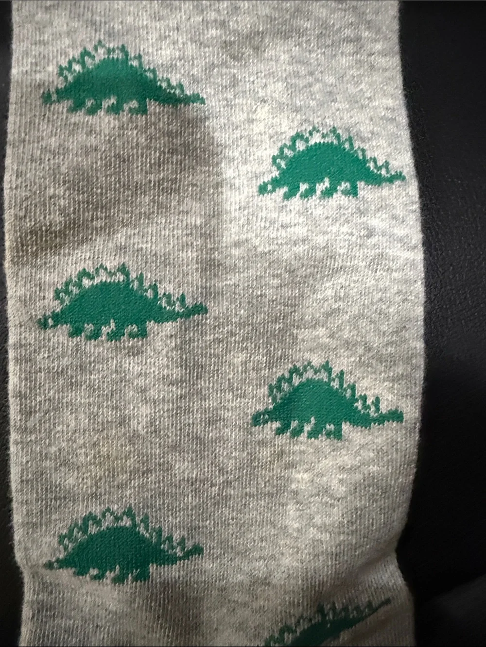 J. Crew Gray Crew Socks with Green Dinosaur NWT